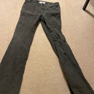 Aeropostale Stretch Corduroy Grey Bootcut Pants